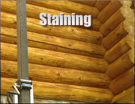  Norfolk, Virginia Log Home Staining